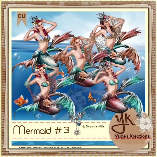 Mermaid # 3 CU - Click Image to Close